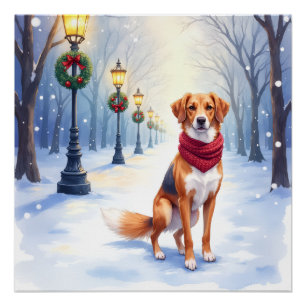 Pôster Aquarela Foxhound Americano Poste de Neve