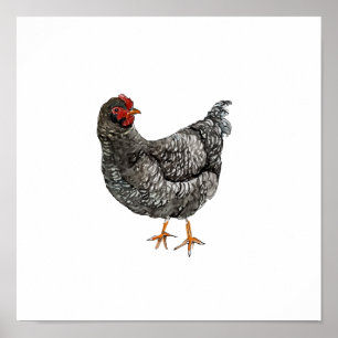 Poster Aquarela Galinha Ave Pintura Preto e Branco