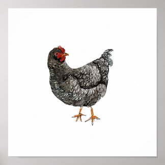 Poster Aquarela Galinha Ave Pintura Preto e Branco