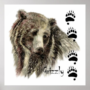Poster Aquarela Grizzly Bear Natureza