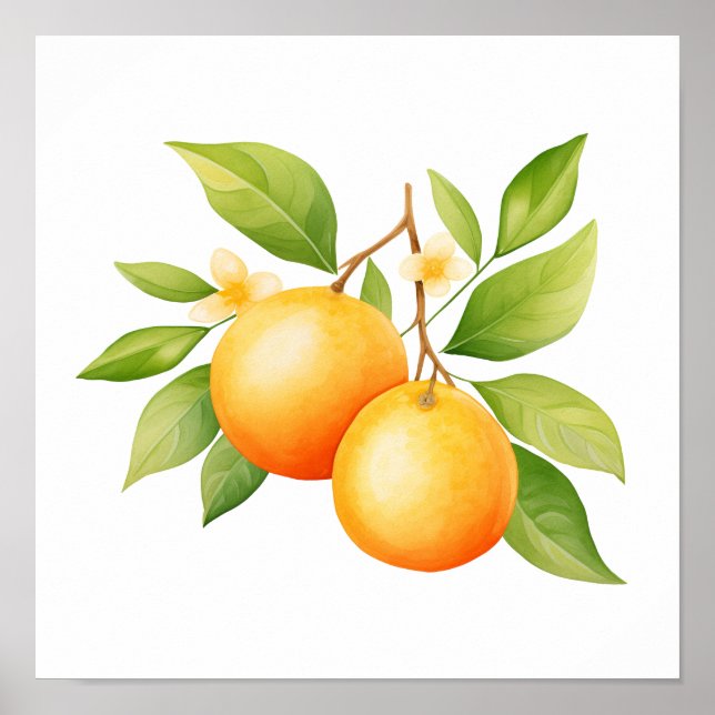 Poster Aquarela Laranja Com Flor (Frente)