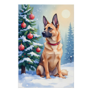 Pôster Aquarela Malinois Belga Natal Evergreen