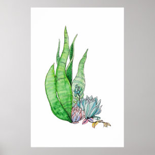 Poster Aquarela Suculentas Botânica Verdura