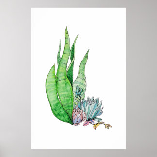 Poster Aquarela Suculentas Botânica Verdura