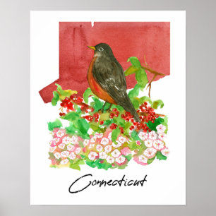 Poster Aquarela Vermelha do Pássaro Robin do Estado de Co