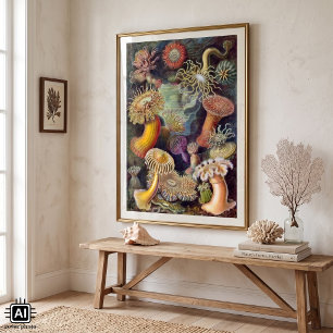 Pôster Aquarelas Antigas de Anêmonas Marinhas por Ernst H
