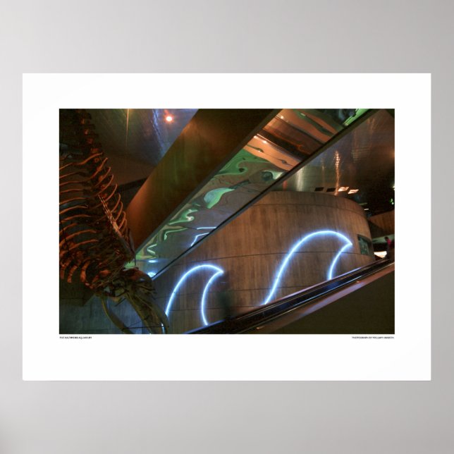 Pôster Aquário de Baltimore (Frente)