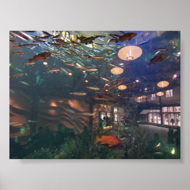 Pôster Aquário de Seattle (Frente)