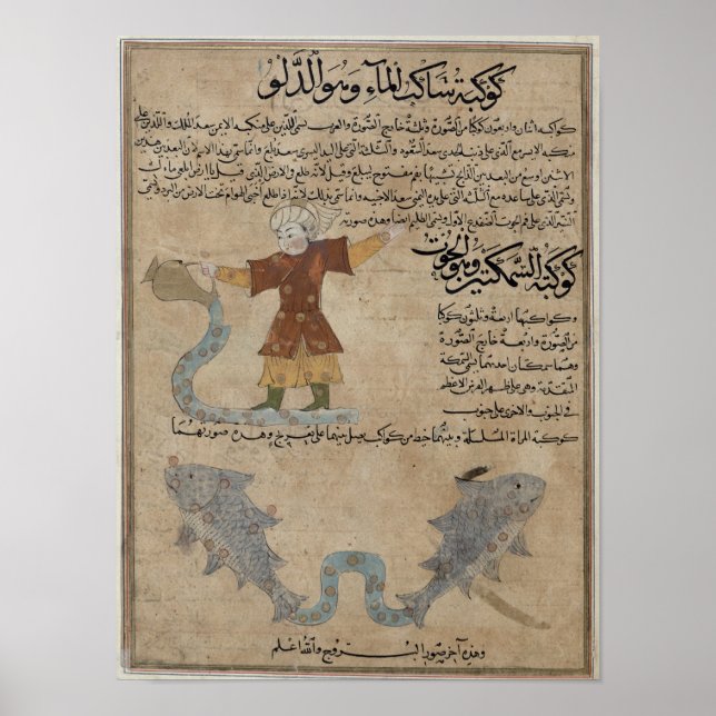 Poster Aquário e Peixes (Frente)