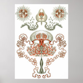 Poster Aquatic Art ~ Jellyfish