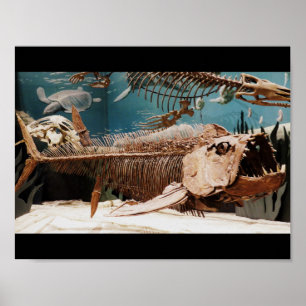 Poster aquático de Dino