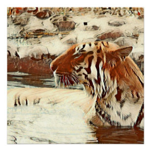 Pôster aqueça o tigre nadador colorido