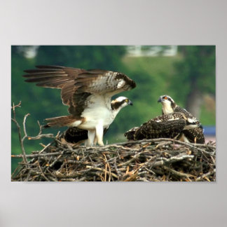 Poster Aqui está como estas coisas funcionam