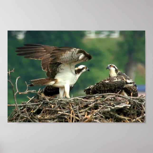 Poster Aqui está como estas coisas funcionam (Frente)