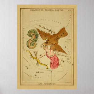 Poster Aquila Eagle - carta de estrela astronômica do