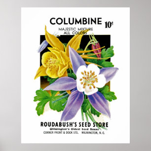 Poster Aquilégia