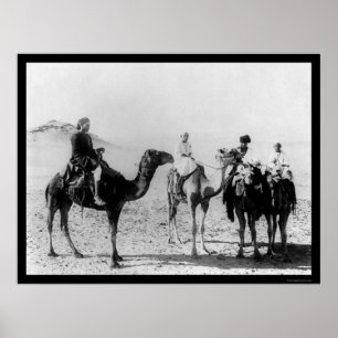 Pôster Árabes em camelos no deserto de Sahara 1914