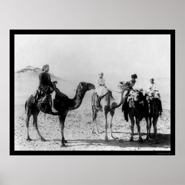 Pôster Árabes em Camelos no Deserto do Saara 1914 (Frente)