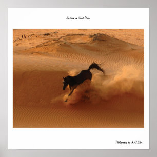 Pôster Arabian na duna de areia
