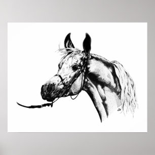 Poster Arabian portrait in Pen & Ink