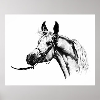 Poster Arabian portrait in Pen & Ink