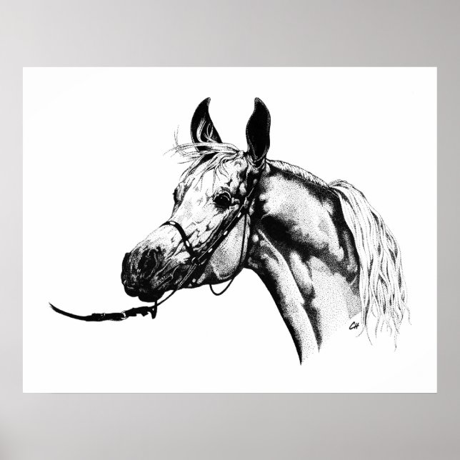 Poster Arabian portrait in Pen & Ink (Frente)