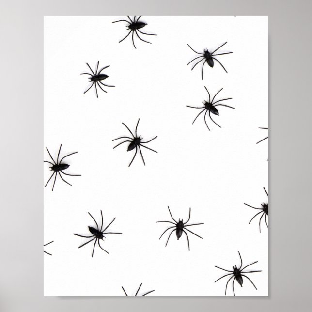 Poster Aracnofobia (Aranhas) (Insetos Crawly Assustadores (Frente)
