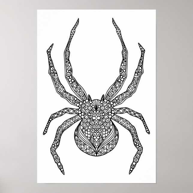 Poster Aranha 2 (Frente)