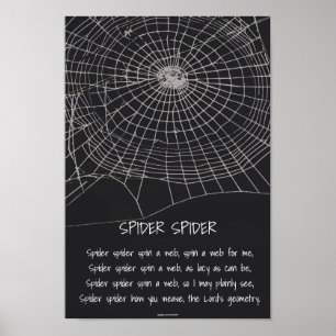 Poster Aranha-Aranha