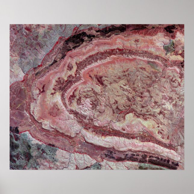 Pôster Aranha-Aranha, Austrália Ocidental (Frente)