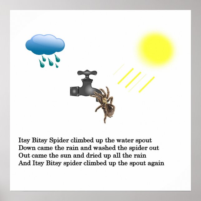 Pôster Aranha Minúscula (Frente)