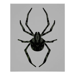 Pôster Aranha Simples e Antiga