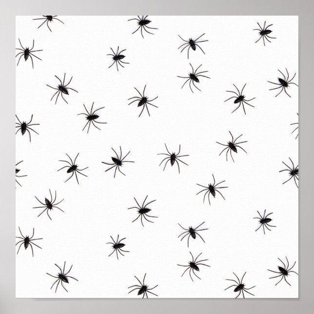 Pôster Aranhas (Frente)