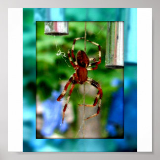 Pôster aranhas