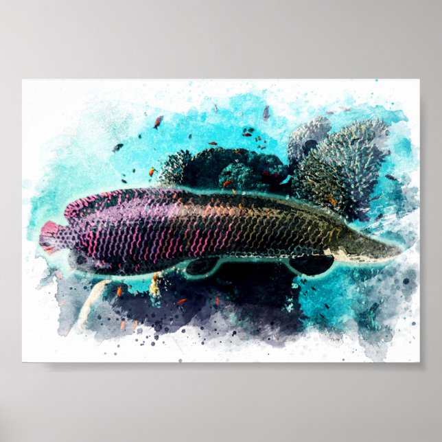 Poster Arapaima Monster Fish Watercolor Pirarucu Paiche (Frente)