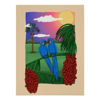 Pôster Arara azul - Blue macaw