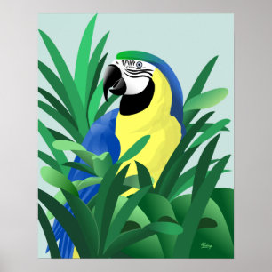 Pôster Arara Azul e Amarela