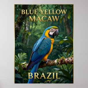 Poster 🦜 Arara Canindé Floresta Tropical Brasileira