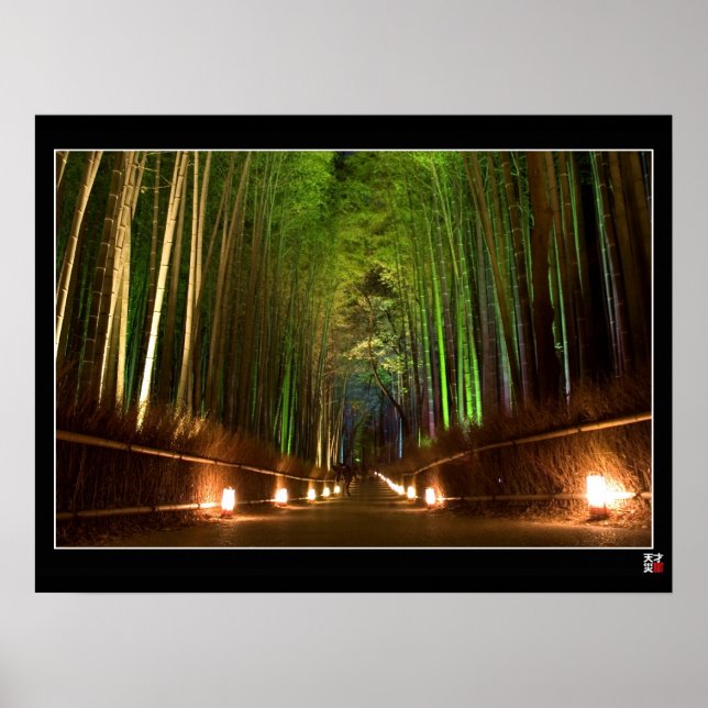 Pôster Arashiyama Path (Frente)