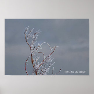 Poster Arbusto congelado
