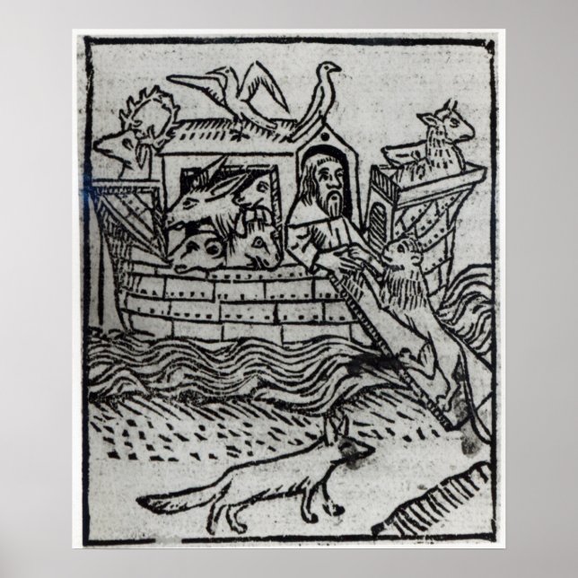 Pôster Arca de Noah (Frente)