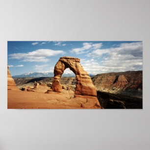 Pôster Arca Delicada