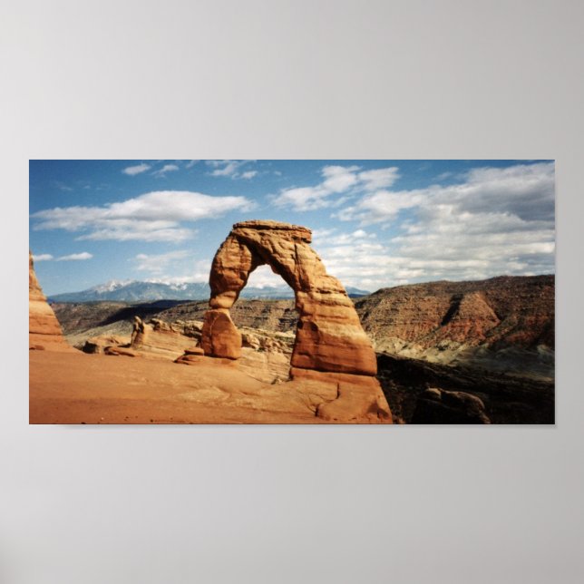 Pôster Arca Delicada (Frente)