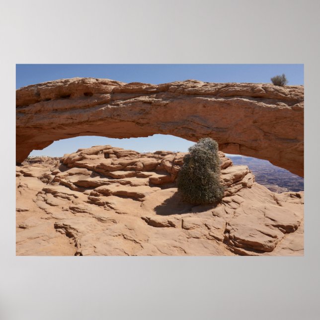 Poster Arch Mesa e Tumbleweed em Canyonlands (Frente)