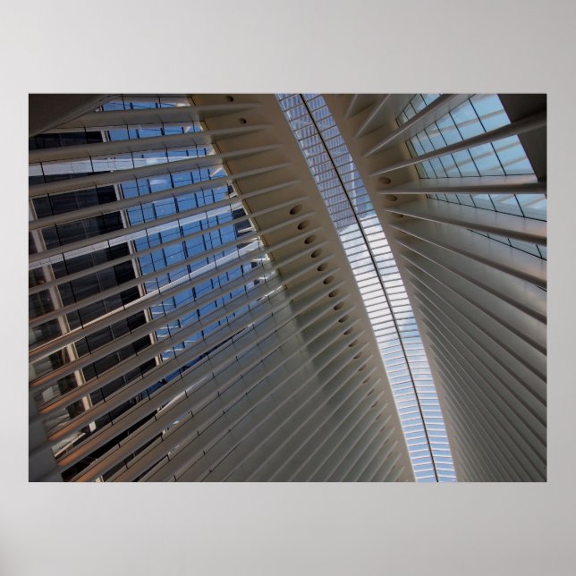 Poster architectural spiderweb (Frente)