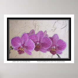 Pôster Arco ao Paraíso Roxo por TDGalery