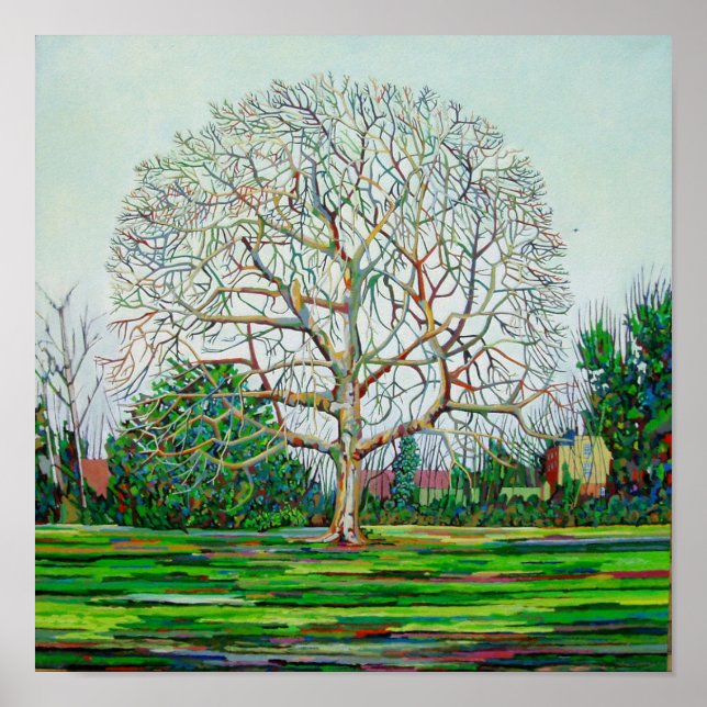 Pôster Arco Árvore inverno (Frente)