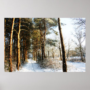 Poster Arco da Cena de Neve da Floresta