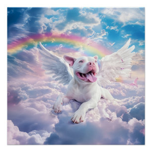 Pôster Arco-íris, Cachorro Branco no Céu