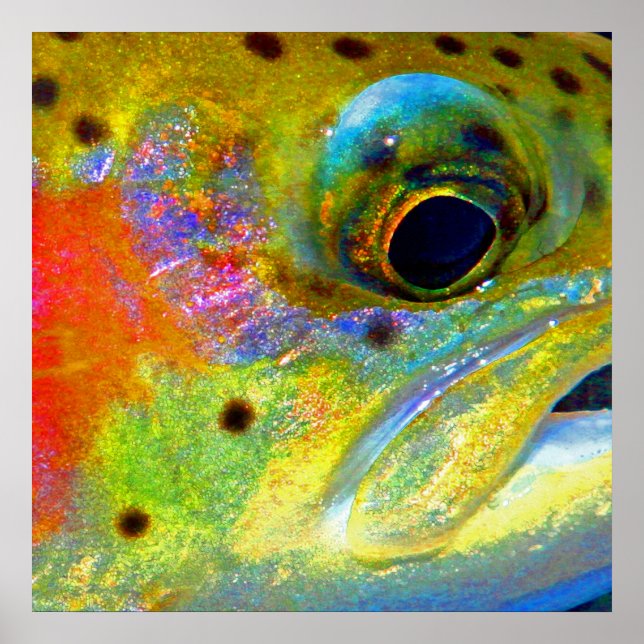 Poster "Arco-Íris Celestial" (Frente)